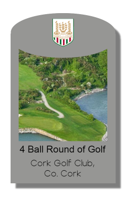 silver cork gc v2